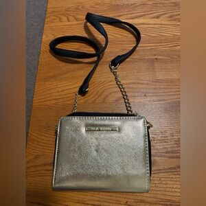 Steve Madden Metallic Gold Crossbody Bag